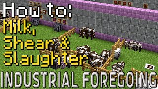 How to Industrial Foregoing  Husbandry Minecraft 1201 [upl. by Hcahsem]