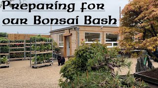 Preparing for our Bonsai Bash  Greenwood Bonsai [upl. by Bullis269]