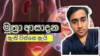 මූත්‍රා ආසාදන  ලක්ෂණ හා ප්‍රතිකාර Urinary tract infections  Sinhala [upl. by Najtsirk204]