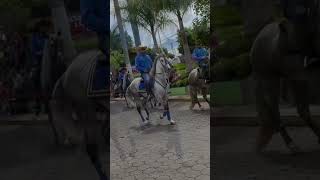 Cuadra de Salcaja desfile Hípico San Antonio Suchitepéquez 2024 horses caballos horses cavalos [upl. by Eerehc792]