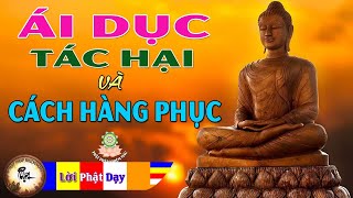 Lời Phật Dạy Về Ái Dục  Tác Hại và Cách Hàng Phục CỰC HAY Phật Pháp Nhiệm Màu [upl. by Hulen]