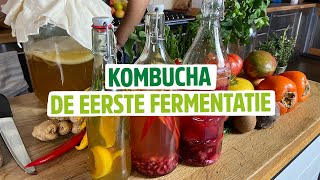 Kombucha maken  De eerste fermentatie  Bio lekker voor je [upl. by Nelleus]