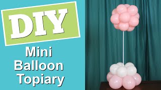 Mini Balloon Topiary  DIY Tabletop Balloon Topiary [upl. by Walton766]