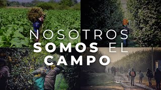 Corto documental Nosotros somos el campo [upl. by Fancie]