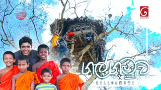 සුන්දර ගල්ගමුව  Travel with Chatura  Galgamuwa [upl. by Murdoch]