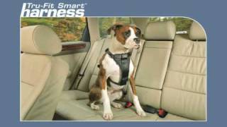 Tru Fit Smart Harness from Kurgo [upl. by Ontina]