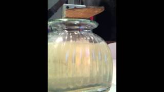 Home made Cold Fusion Reaction 3 DIY [upl. by Elleunamme]