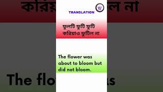 ফুলটি ফুটি ফুটি করিয়াও ফুটিল না shorts translation [upl. by Nikita]