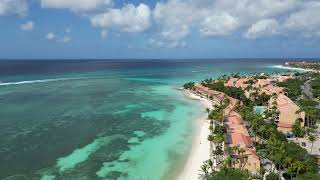 Divi Tamarijn Aruba from Druif Beach [upl. by Mensch]