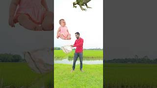 Flying crying babies Catching vs frog parrot goat Vs Fatty dog amp Domi to coista old buddhi dancing [upl. by Shama]