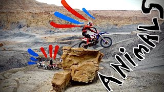 Beta 300rr Broke By Beta Boy in durability test pros enduro training [upl. by Enilegna208]