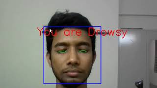 Driver Drowsiness Detection Demo  OpenCV and Python  Computer Vision  Penguin Coders [upl. by Eelsel]