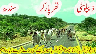 Noukot to Diplo City A Cultural and Scenic Adventure in Tharparkar  Expo Tharparkars Hidden Gems [upl. by Ynohtnaluap]