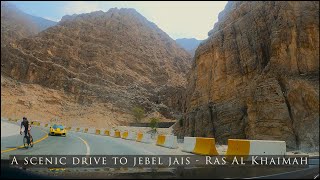 Scenic drive through winding roads at Jebel Jais Ras Al Khaimah  Highest Mountain peak in the UAE [upl. by Mairem544]