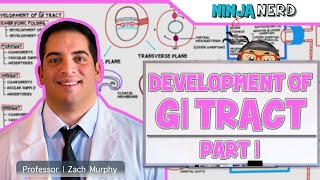 Gastrointestinal  Development amp Embryology of the GI Tract Part 1 [upl. by Atinid643]