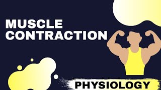 Muscle ContractionRevision [upl. by English]