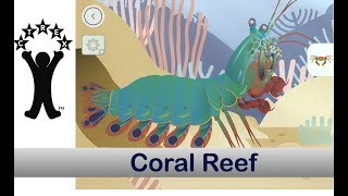 Coral Reef by Tinybop [upl. by Gargan106]