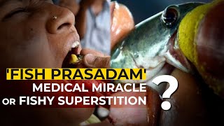 Fish Prasadam Returns to Hyderabad A Genuine Asthma Medicine or Mere Superstition  Explained [upl. by Alyacim293]