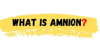 What is Amnion  Amnion Definition  Amnion meaning  Amnion [upl. by Adnauq]