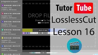 LossLessCut Tutorial  Lesson 16  Changing Export Format [upl. by Blackmun]