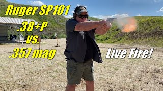 Ruger SP101  38P vs 357 Mag Live Fire [upl. by Adam]