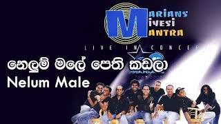 නෙලුම් මලේ  Nelum Male  Marians Miyesi Mantra Concert 20th Anniversary [upl. by Vogel]