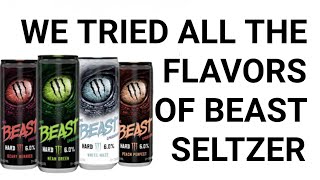 We review ALL of the Beast Hard Seltzer flavors 🥴 [upl. by Akienaj]