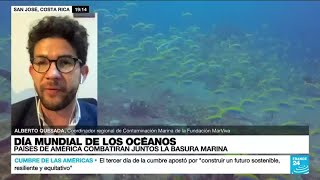 Las cinco islas de plástico que manchan el océano y ningún país quiere limpiar [upl. by Norvell]