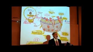 ANATOMY REVIEW OF CYTOLOGY PART 2 by Professor Fink [upl. by Aicenek]