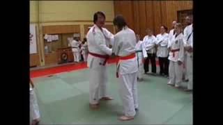 Kobudo Lehrgang  Judo [upl. by Galasyn]