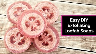 DIY Exfoliating Loofah Soaps [upl. by Ettenahc]