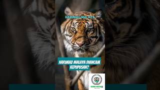 4 Haiwan terancam kepupusan faktaunik facts wow animals faktamenarik endangeredspecies facts [upl. by Ayekim964]