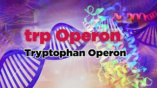 trp Operon  Tryptophan Operon [upl. by Laamak799]