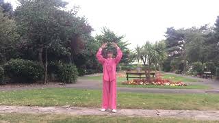 Eight Brocades Qigong Ba Duan Jin easy to learnForm Demonstrations [upl. by Tolmach]