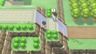 Quick Route 213 Tutorial for Pokémon Brilliant Diamond and Shining Pearl Speedruns [upl. by Lorelie]