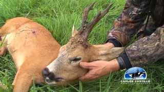 ROEBUCK HUNTING 13wmv [upl. by Westney726]