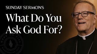 What Do You Ask God For  Bishop Barrons Sunday Sermon [upl. by Harley]