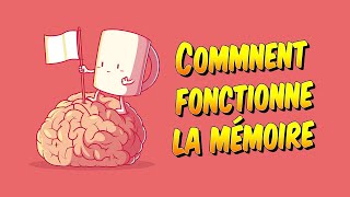 Psychologie  Comment fonctionne la mémoire [upl. by Lali689]