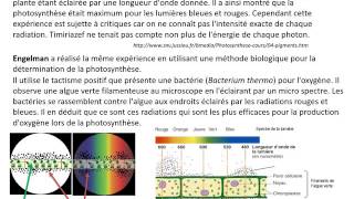 La photosynthèse partie2 TS spé SVT [upl. by Suoivart593]