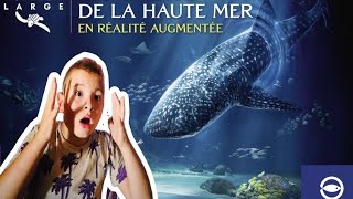 NAUSICAA The LARGEST Aquarium in Europe VLOG [upl. by Ylaek]