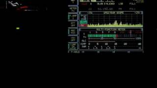 85 Foot Receive Loop vs 256 Foot Centerfed Antenna  W1AEX [upl. by Montana386]