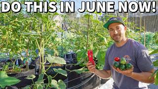 Critical June Garden Tasks Every Gardener Should Do NOW [upl. by Dannie]