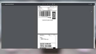 How to Print an Amazon FBA Shipping Label Fulfillment by Amazon Desktop  ZSB Series Printer [upl. by Aeel222]