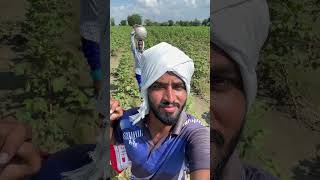 Drone tho sprey 🌱 farming agriculture technology lifestyle vlog [upl. by Ephraim]