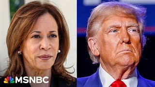 Countdown to the 2024 election Day 10  MSNBC Highlights [upl. by Ferreby]