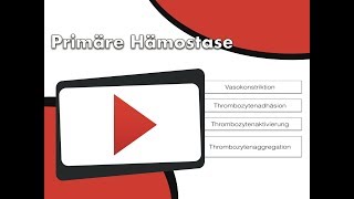 Primäre Hämostase [upl. by Eustace]