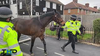 Police horse named in memory of Ava [upl. by Aivon200]