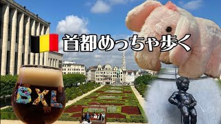 【🇧🇪ベルギー旅行③】5日目、6年ぶりの猫祭り後 首都ブリュッセル街歩き [upl. by Essy525]