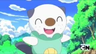 Oshawott Evolutions AMV [upl. by Chamkis]