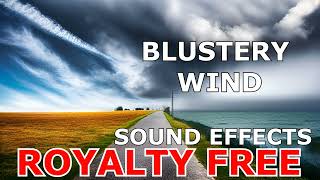 Blustery Wind RoyaltyFree Sound Effect [upl. by Catima]